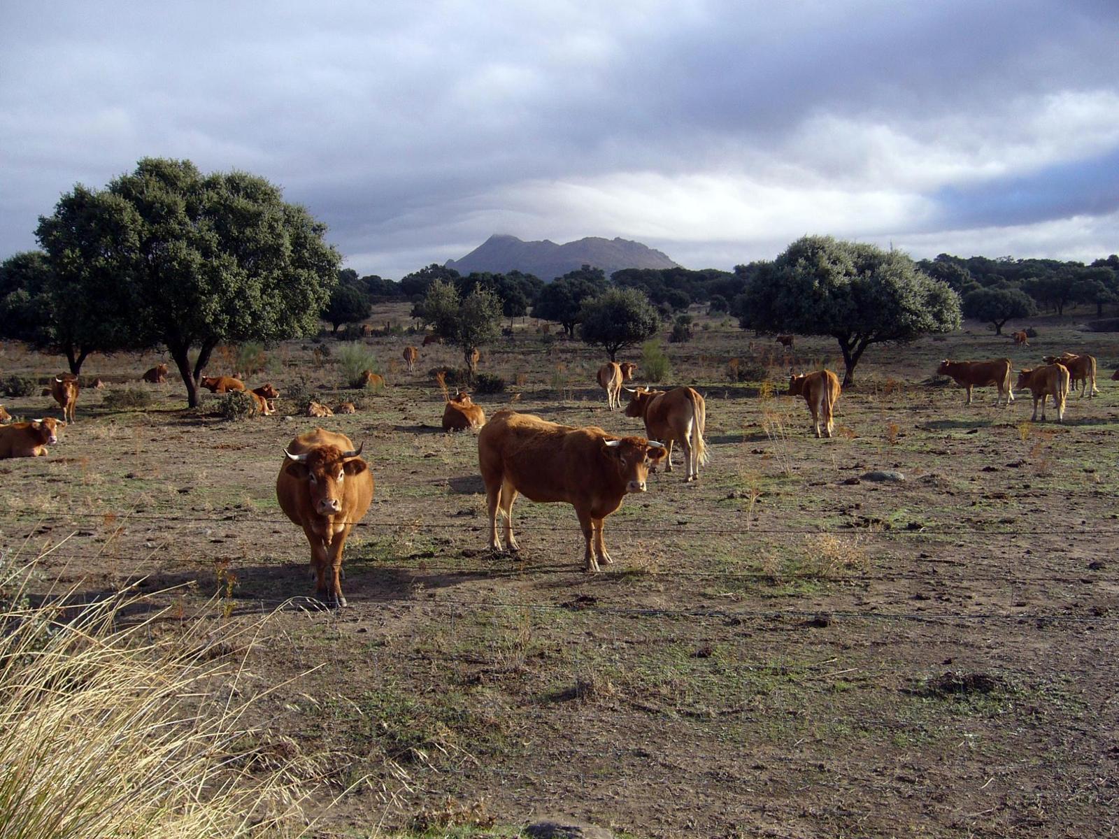 Ruta Sierra del Puerto