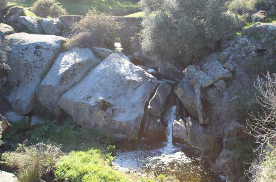 El molino