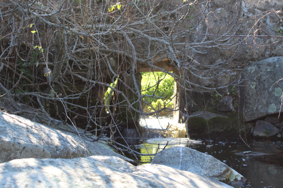 El molino